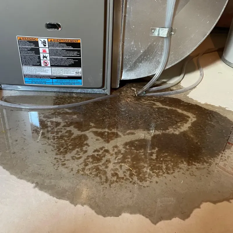 Appliance Leak Cleanup in Chattahoochee Hills, GA